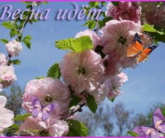 Весна идёт
