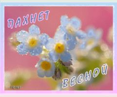 Пахнет весной