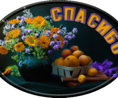 Спасибо, благодарю!