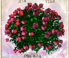 Оксана