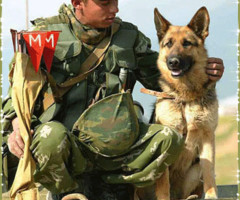 День кинологической службы
