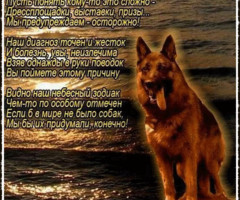 Открытки поздравления День Кинолога