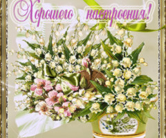 Хорошее настроение в картинках