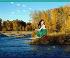 Улетают птицы