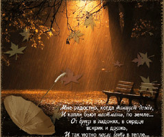 Стихи про осенний дождь