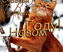 Счастья Вам в Новом Году!