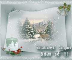 Здравствуй, Старый Новый Год