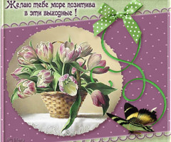 Желаю тебе море позитива в эти выходные!